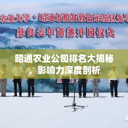 昭通農(nóng)業(yè)公司排名大揭秘，影響力深度剖析
