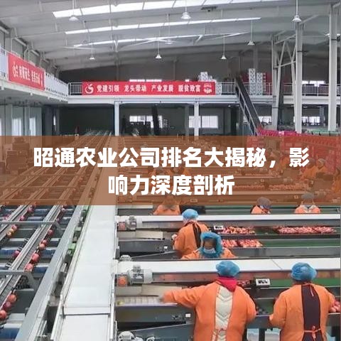 昭通農(nóng)業(yè)公司排名大揭秘,影響力深度剖析