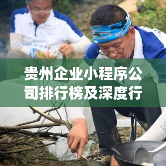 貴州企業小程序公司排行榜及深度行業洞察揭秘!