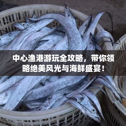 中心漁港游玩全攻略,帶你領略絕美風光與海鮮盛宴!