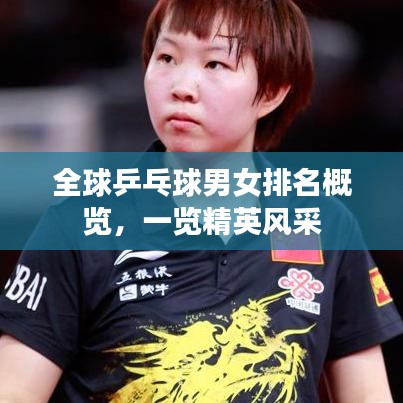 全球乒乓球男女排名概覽,一覽精英風采