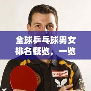 全球乒乓球男女排名概覽,一覽精英風采