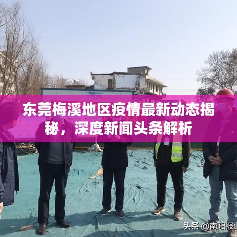東莞梅溪地區疫情最新動態揭秘，深度新聞頭條解析