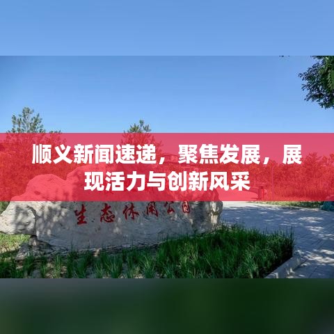 順義新聞速遞,聚焦發(fā)展,展現(xiàn)活力與創(chuàng)新風(fēng)采