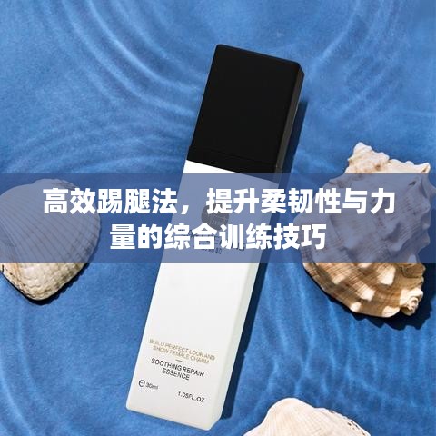 高效踢腿法,提升柔韌性與力量的綜合訓練技巧