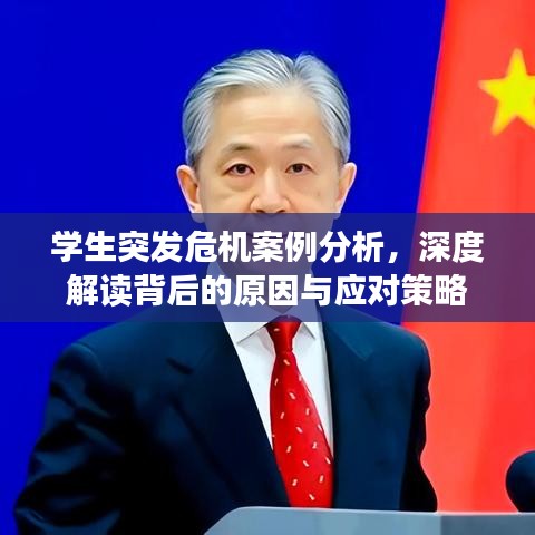 學(xué)生突發(fā)危機(jī)案例分析，深度解讀背后的原因與應(yīng)對策略