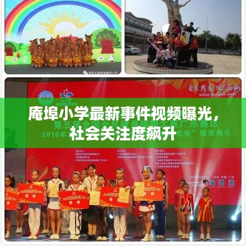 庵埠小學最新事件視頻曝光，社會關注度飆升