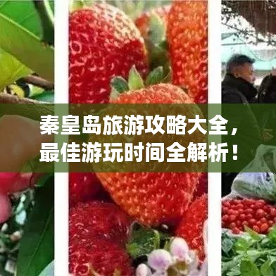 秦皇島旅游攻略大全,最佳游玩時(shí)間全解析!