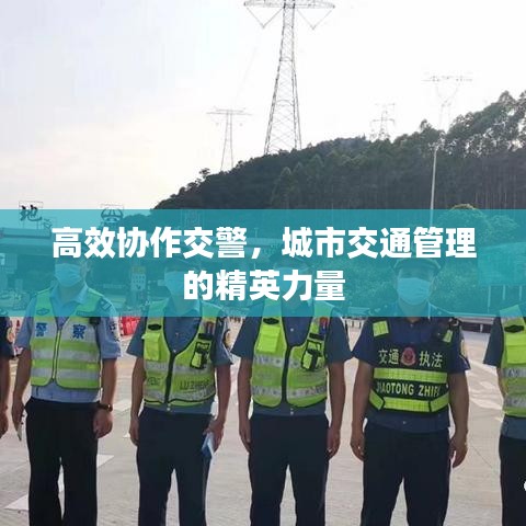 高效協作交警,城市交通管理的精英力量