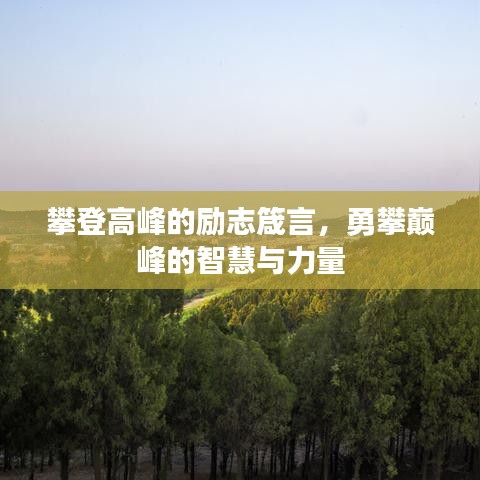 攀登高峰的勵志箴言，勇攀巔峰的智慧與力量