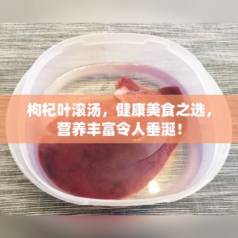 枸杞葉滾湯,健康美食之選,營養豐富令人垂涎!