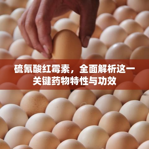 硫氰酸紅霉素，全面解析這一關鍵藥物特性與功效