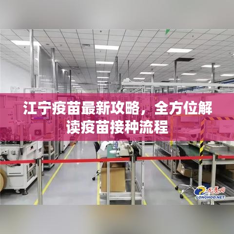 江寧疫苗最新攻略,全方位解讀疫苗接種流程