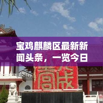 寶雞麒麟區最新新聞頭條,一覽今日熱點事件