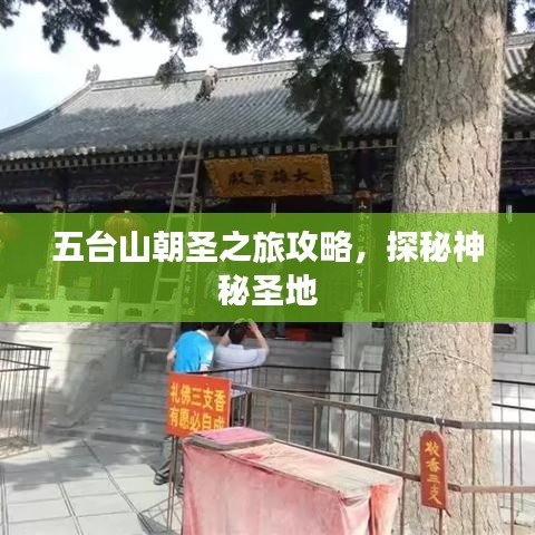 五臺山朝圣之旅攻略，探秘神秘圣地