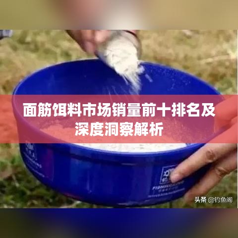 面筋餌料市場銷量前十排名及深度洞察解析