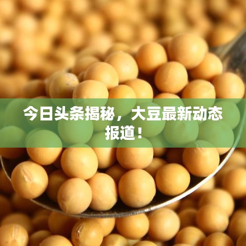 今日頭條揭秘，大豆最新動態報道！