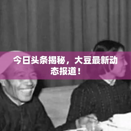 今日頭條揭秘,大豆最新動態報道!