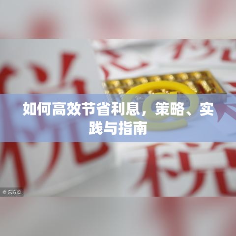 如何高效節省利息,策略、實踐與指南