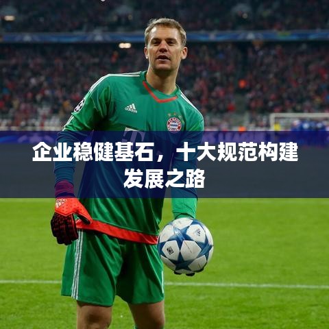 企業穩健基石,十大規范構建發展之路