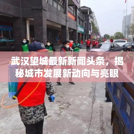 武漢望城最新新聞?lì)^條,揭秘城市發(fā)展新動(dòng)向與亮眼成就