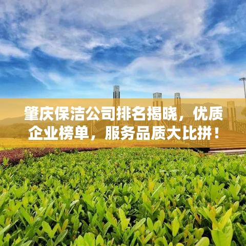 肇慶保潔公司排名揭曉,優質企業榜單,服務品質大比拼!