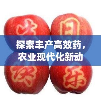 探索豐產(chǎn)高效藥,農(nóng)業(yè)現(xiàn)代化新動力揭秘