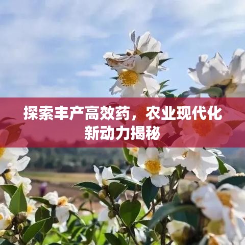 探索豐產(chǎn)高效藥,農(nóng)業(yè)現(xiàn)代化新動力揭秘