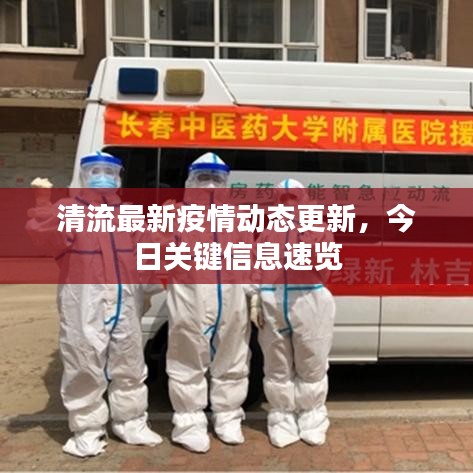 清流最新疫情動態更新，今日關鍵信息速覽