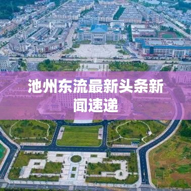 池州東流最新頭條新聞速遞