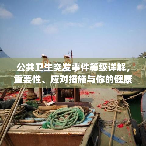 公共衛生突發事件等級詳解,重要性、應對措施與你的健康息息相關