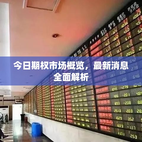 今日期權市場概覽,最新消息全面解析