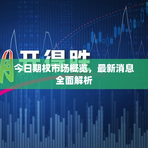 今日期權市場概覽,最新消息全面解析