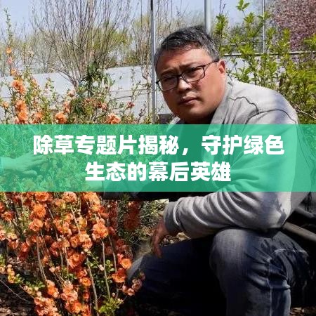 除草專題片揭秘，守護綠色生態(tài)的幕后英雄