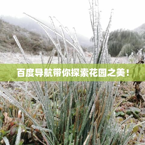 百度導航帶你探索花園之美!