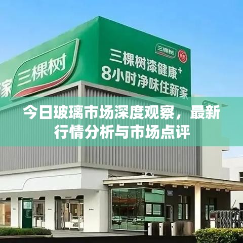 今日玻璃市場深度觀察,最新行情分析與市場點(diǎn)評(píng)