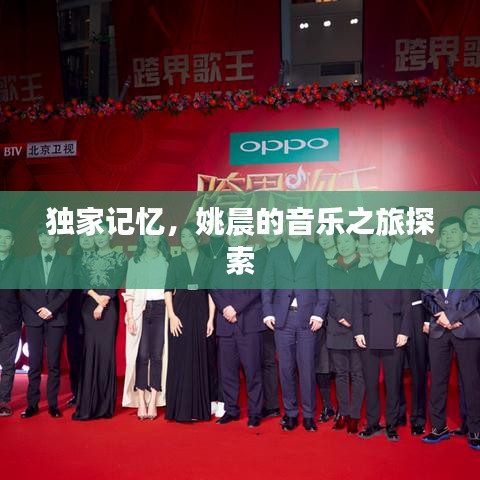 獨家記憶,姚晨的音樂之旅探索