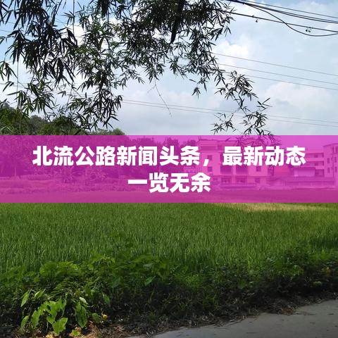 北流公路新聞頭條，最新動態一覽無余