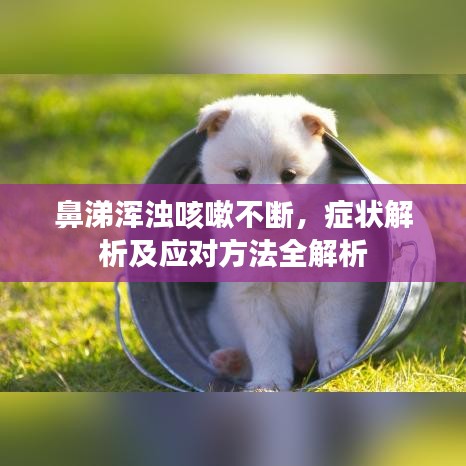 鼻涕渾濁咳嗽不斷,癥狀解析及應對方法全解析