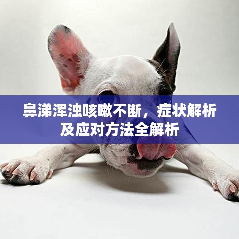 鼻涕渾濁咳嗽不斷,癥狀解析及應對方法全解析