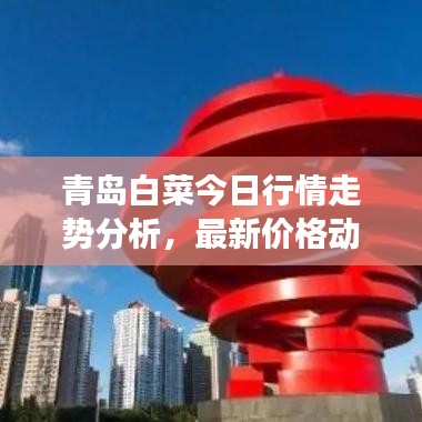 青島白菜今日行情走勢分析,最新價格動態解讀