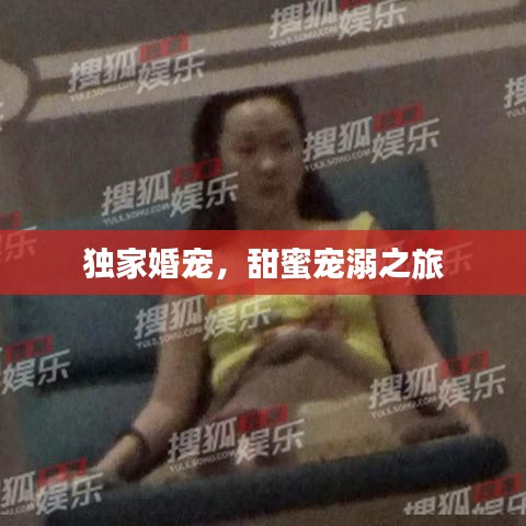 獨家婚寵,甜蜜寵溺之旅