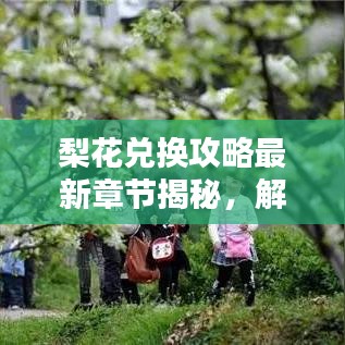 梨花兌換攻略最新章節(jié)揭秘，解鎖虛擬世界財(cái)富之門(mén)