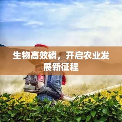 生物高效磷，開啟農(nóng)業(yè)發(fā)展新征程