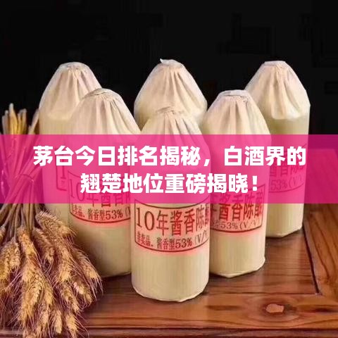 茅臺今日排名揭秘,白酒界的翹楚地位重磅揭曉!
