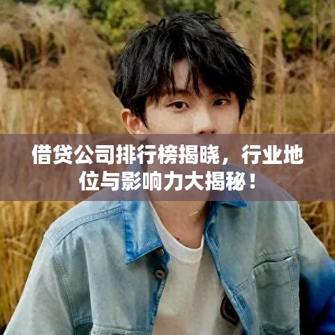 借貸公司排行榜揭曉,行業(yè)地位與影響力大揭秘!