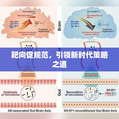 靶向促規范,引領新時代策略之道