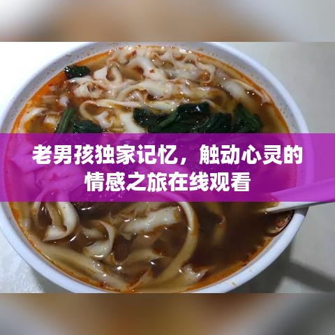 老男孩獨家記憶,觸動心靈的情感之旅在線觀看