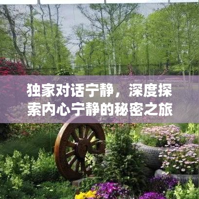 獨家對話寧靜,深度探索內心寧靜的秘密之旅
