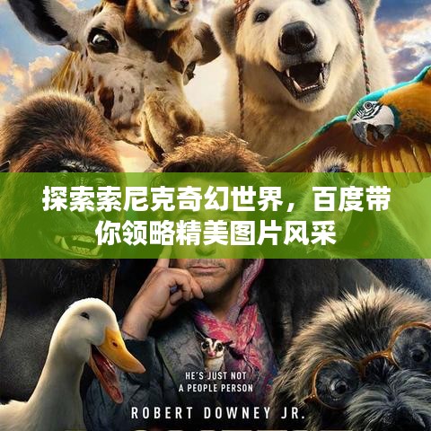 探索索尼克奇幻世界,百度帶你領略精美圖片風采